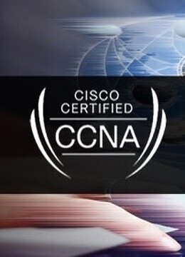 網絡工程師與計算機網絡技術 構建數字世界的橋梁